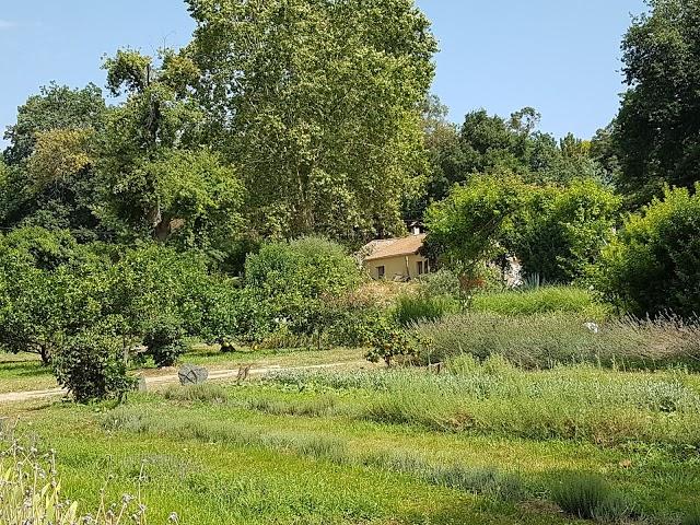 Natural essences Corsican EARL