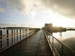 réserve naturelle de l'Étang de Biguglia