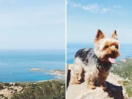 Village abandonné d'Occi