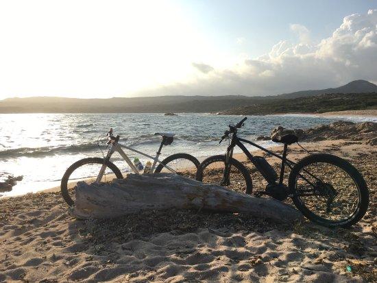 Bicycorsica