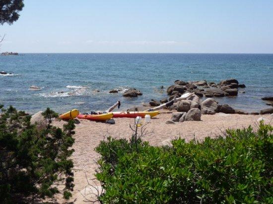 Location Kayak VTT
