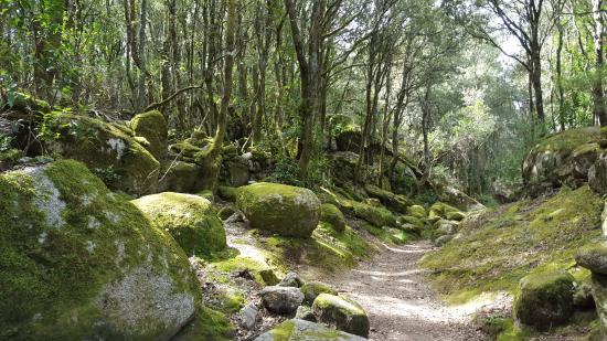 Sites archéologiques de Cucuruzzu